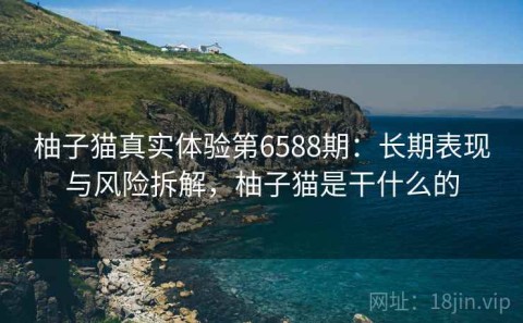 柚子猫真实体验第6588期：长期表现与风险拆解，柚子猫是干什么的