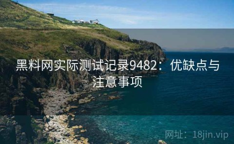 黑料网实际测试记录9482：优缺点与注意事项