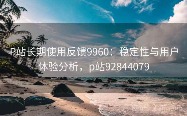 P站长期使用反馈9960：稳定性与用户体验分析，p站92844079