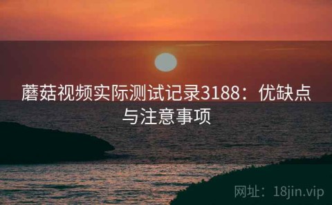蘑菇视频实际测试记录3188：优缺点与注意事项