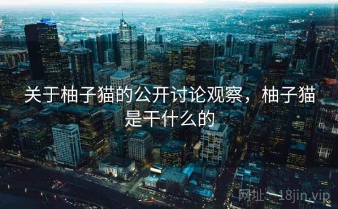 关于柚子猫的公开讨论观察，柚子猫是干什么的