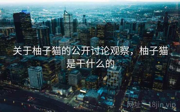 关于柚子猫的公开讨论观察，柚子猫是干什么的