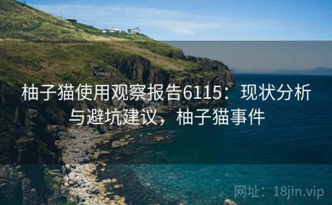 柚子猫使用观察报告6115：现状分析与避坑建议，柚子猫事件