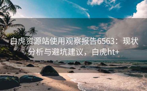 白虎资源站使用观察报告6563：现状分析与避坑建议，白虎ht+