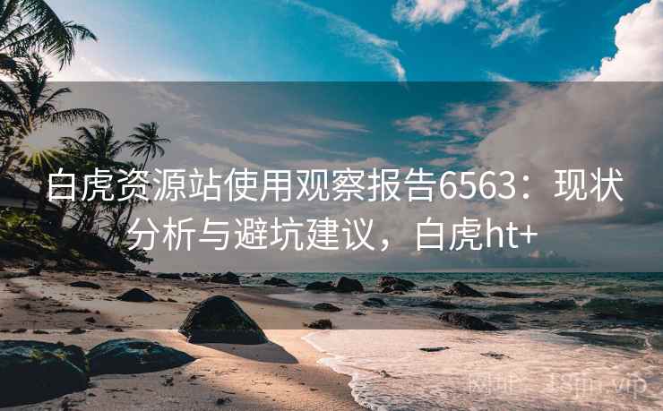 白虎资源站使用观察报告6563：现状分析与避坑建议，白虎ht+
