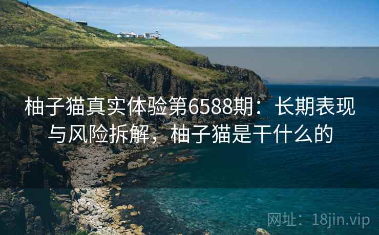 柚子猫真实体验第6588期：长期表现与风险拆解，柚子猫是干什么的