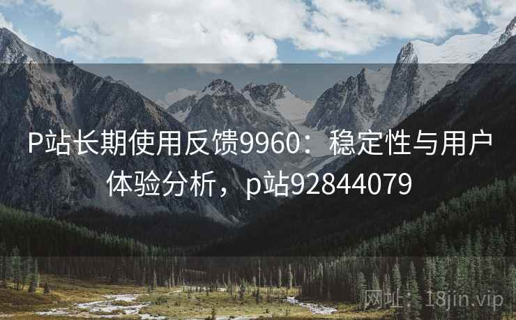 P站长期使用反馈9960：稳定性与用户体验分析，p站92844079