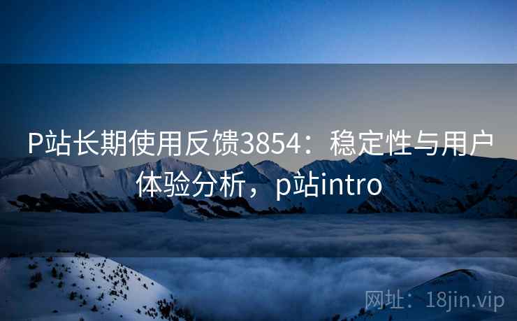 P站长期使用反馈3854：稳定性与用户体验分析，p站intro