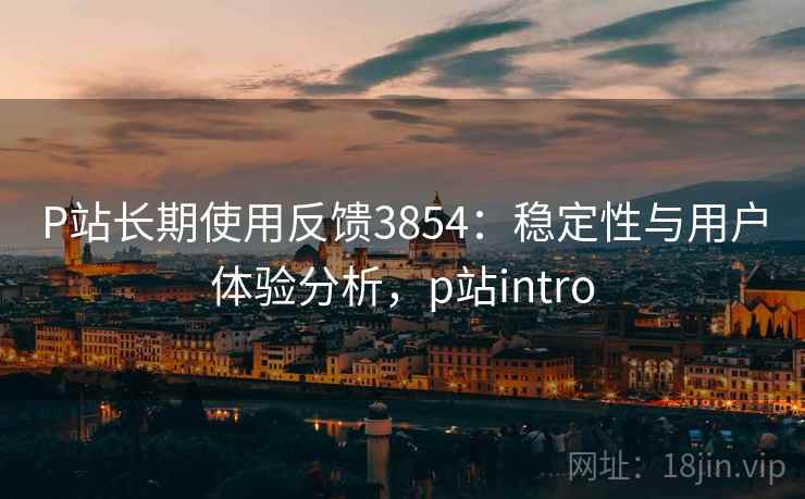 P站长期使用反馈3854：稳定性与用户体验分析，p站intro