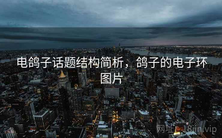 电鸽子话题结构简析，鸽子的电子环图片
