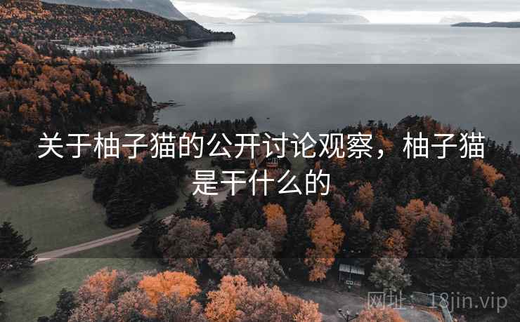 关于柚子猫的公开讨论观察，柚子猫是干什么的