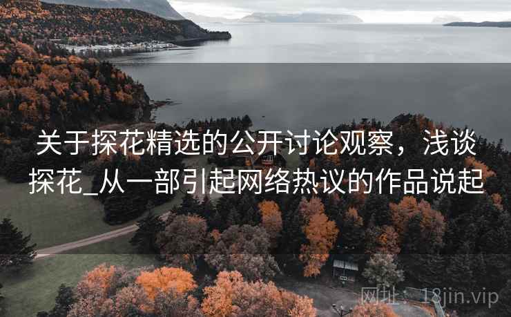 关于探花精选的公开讨论观察,浅谈探花_从一部引起网络热议的作品说起 关于探花精选的公开讨论观察,浅谈探花_从一部引起网络热议的作品说起