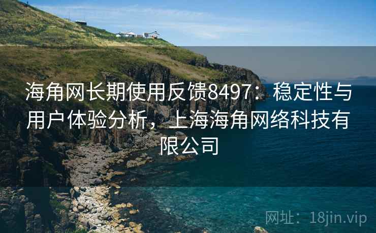 海角网长期使用反馈8497：稳定性与用户体验分析，上海海角网络科技有限公司