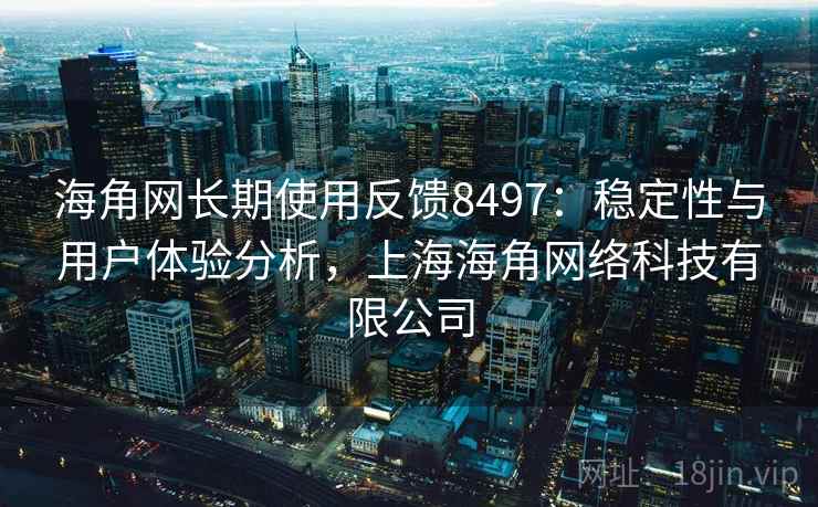 海角网长期使用反馈8497：稳定性与用户体验分析，上海海角网络科技有限公司