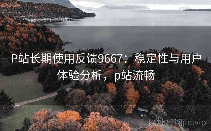 P站长期使用反馈9667：稳定性与用户体验分析，p站流畅