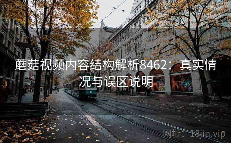 蘑菇视频内容结构解析8462：真实情况与误区说明