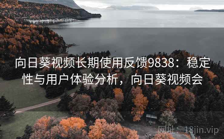 向日葵视频长期使用反馈9838：稳定性与用户体验分析，向日葵视频会